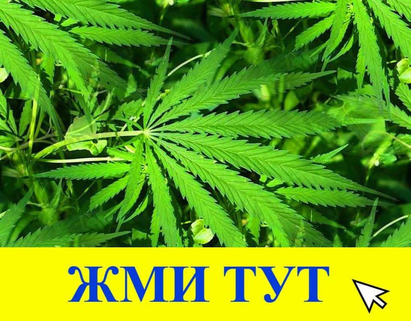 Купить наркотики в Тихорецке